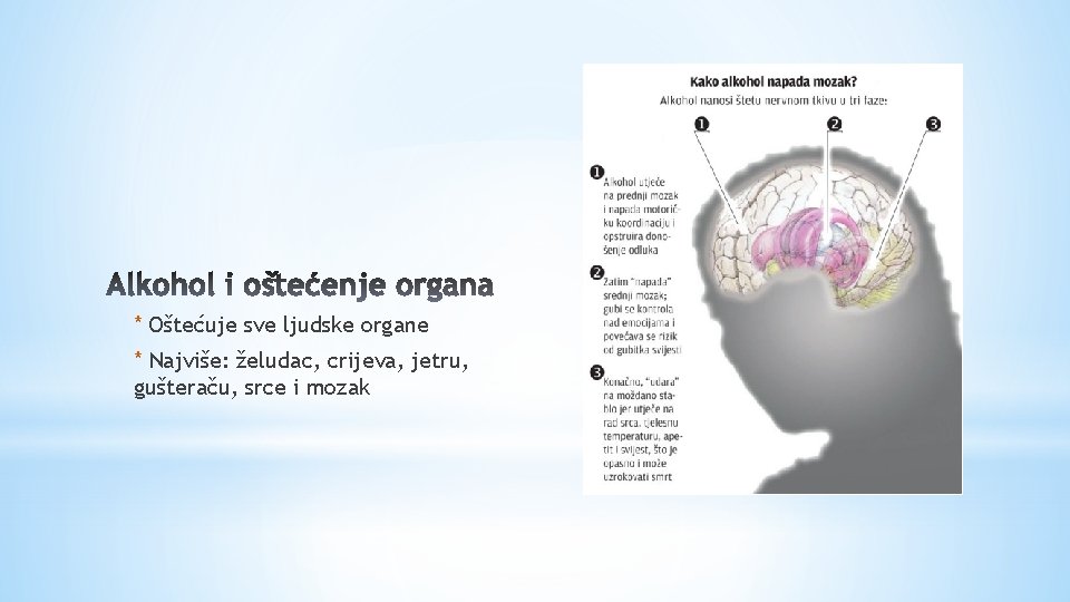 * Oštećuje sve ljudske organe * Najviše: želudac, crijeva, jetru, gušteraču, srce i mozak