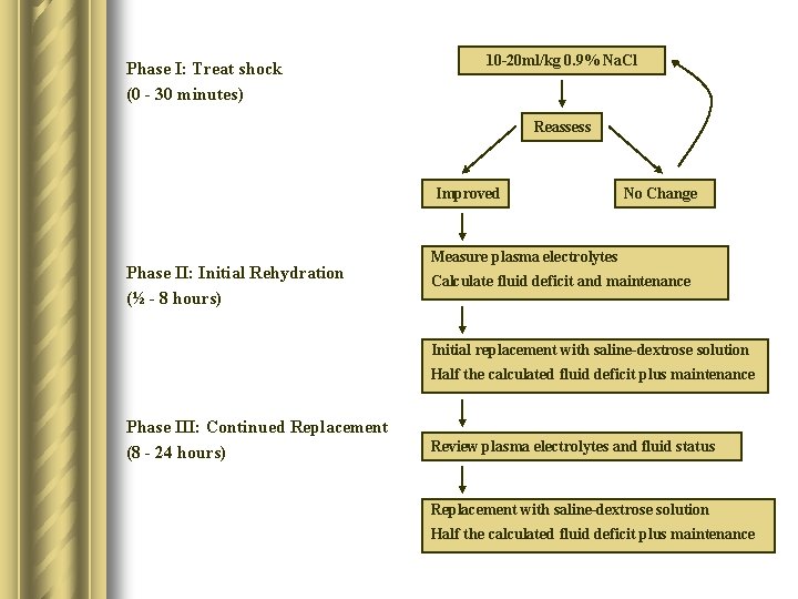 Phase I: Treat shock (0 - 30 minutes) 10 -20 ml/kg 0. 9% Na.