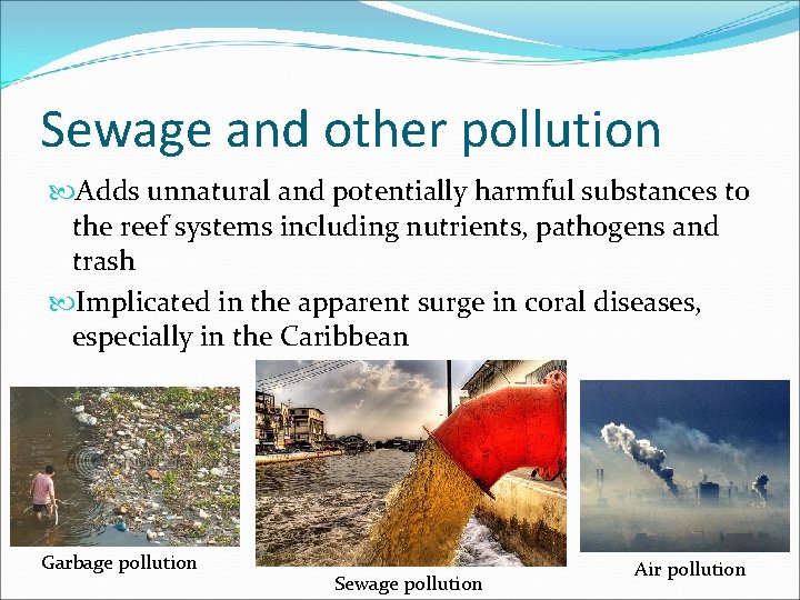 Sewage and other pollution Adds unnatural and potentially harmful substances to the reef systems
