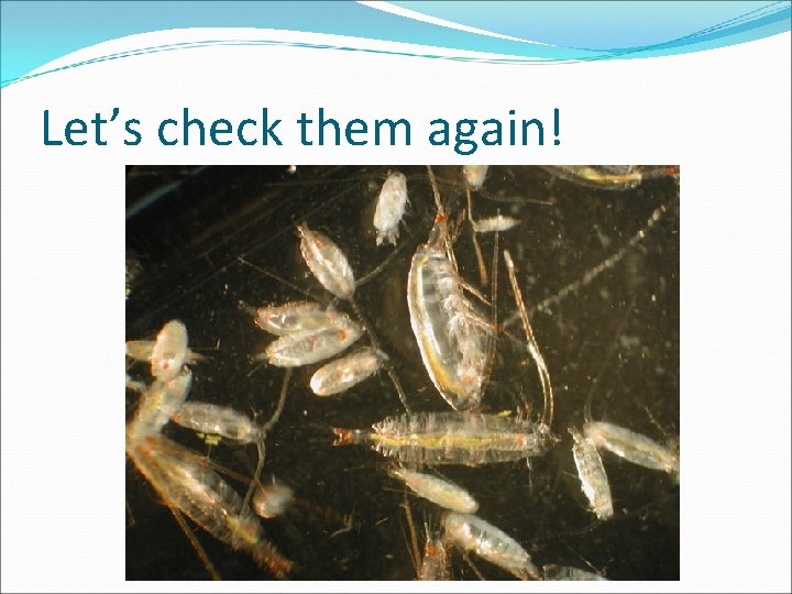 Let’s check them again! 