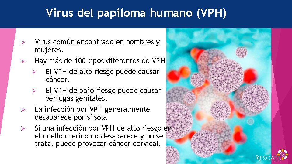 Virus del papiloma humano (VPH) Virus común encontrado en hombres y mujeres. Ø Hay