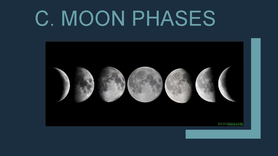 C. MOON PHASES 