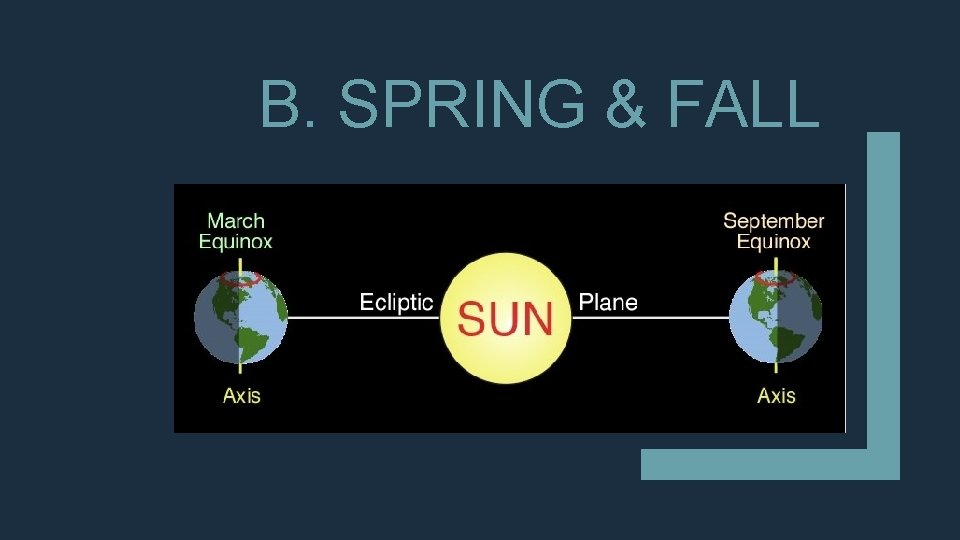 B. SPRING & FALL 