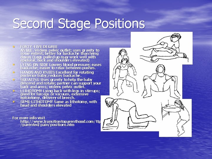 Second Stage Positions • • • FORTY-FIVE DEGREE ANGLE. Widens pelvic outlet; uses gravity