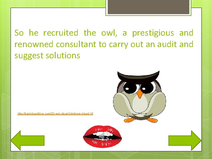 So he recruited the owl, a prestigious and renowned consultant to carry out an