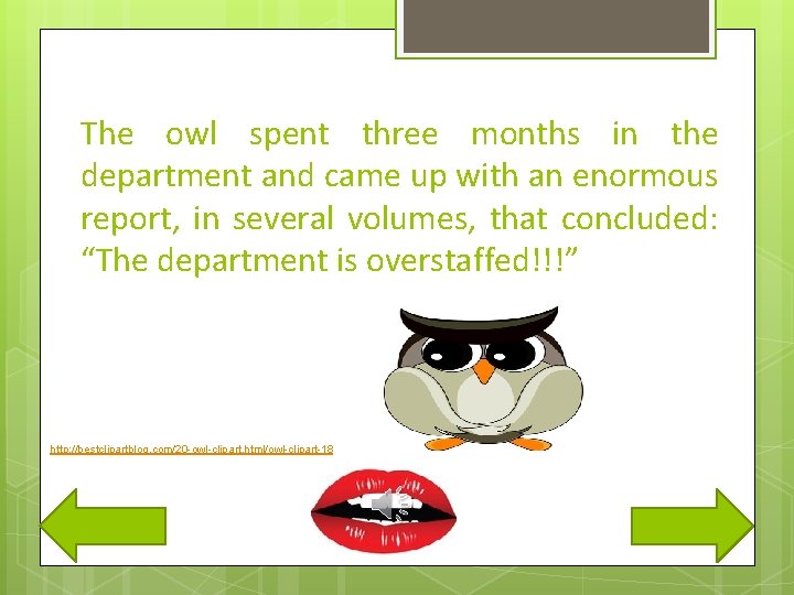 The owl spent three months in the department and came up with an enormous