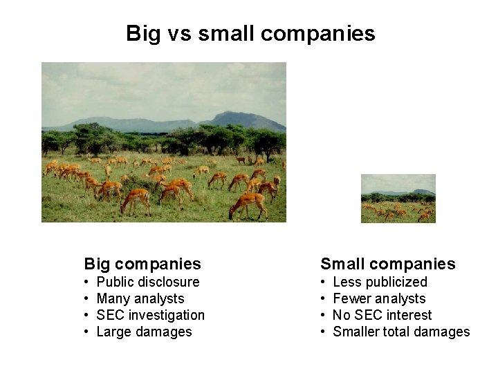 Big vs small companies Big companies Small companies • • Public disclosure Many analysts