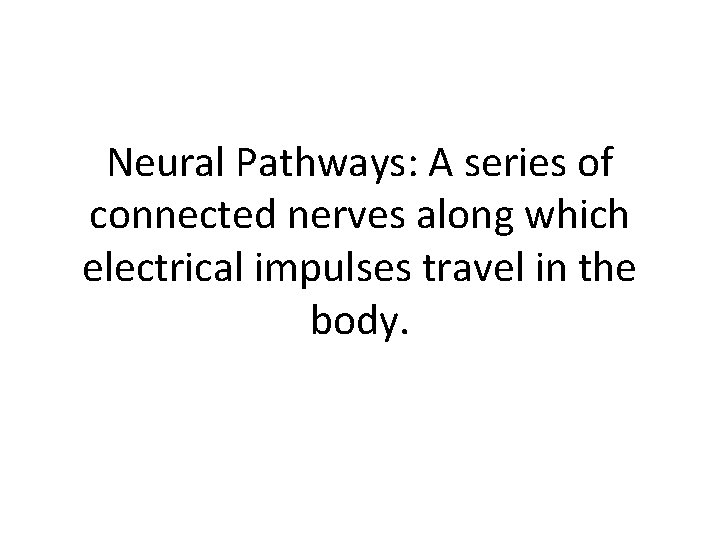 Neural Pathways: A series of connected nerves along which electrical impulses travel in the