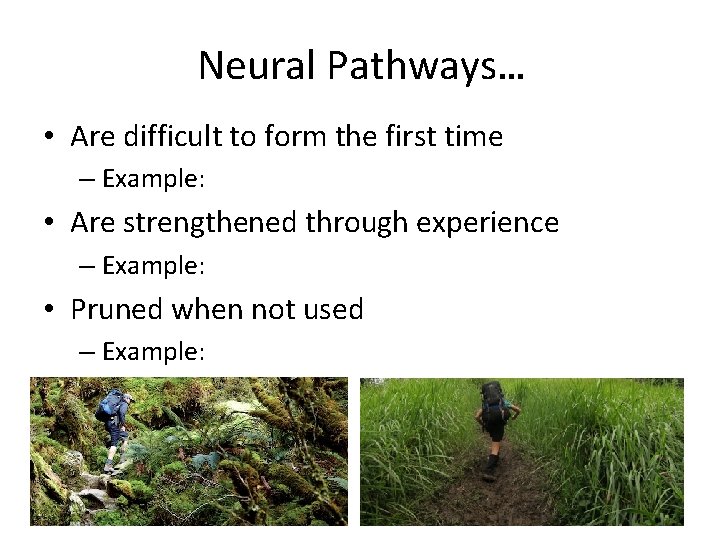 Neural Pathways… • Are difficult to form the first time – Example: • Are