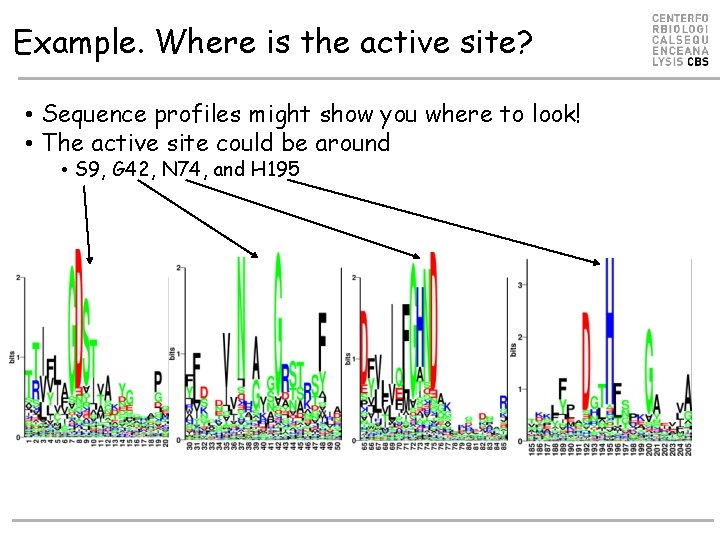 Example. Where is the active site? • Sequence profiles might show you where to