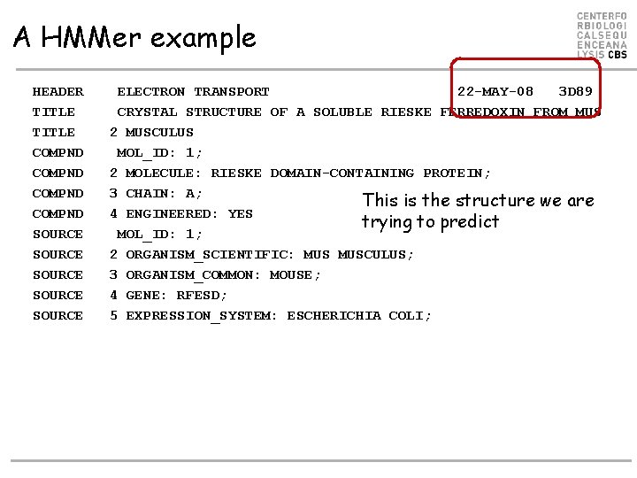 A HMMer example HEADER TITLE COMPND SOURCE SOURCE ELECTRON TRANSPORT 22 -MAY-08 3 D