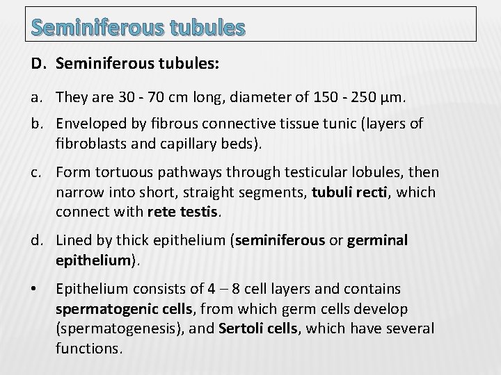 Seminiferous tubules D. Seminiferous tubules: a. They are 30 - 70 cm long, diameter