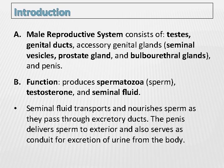 Introduction A. Male Reproductive System consists of: testes, genital ducts, accessory genital glands (seminal