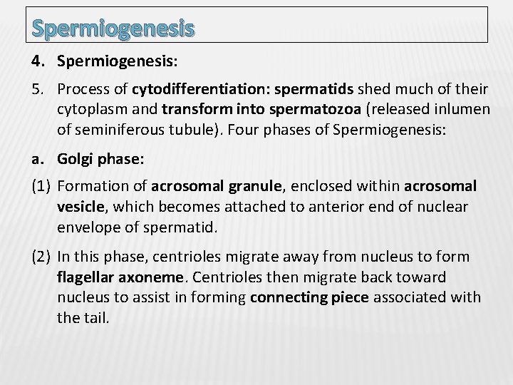 Spermiogenesis 4. Spermiogenesis: 5. Process of cytodifferentiation: spermatids shed much of their cytoplasm and