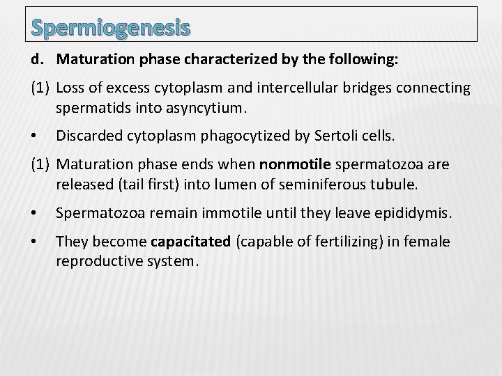 Spermiogenesis d. Maturation phase characterized by the following: (1) Loss of excess cytoplasm and