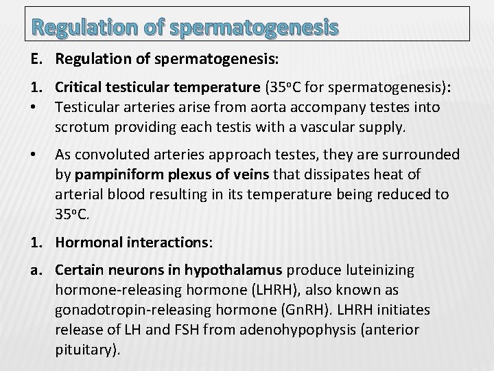 Regulation of spermatogenesis E. Regulation of spermatogenesis: 1. Critical testicular temperature (35 o. C
