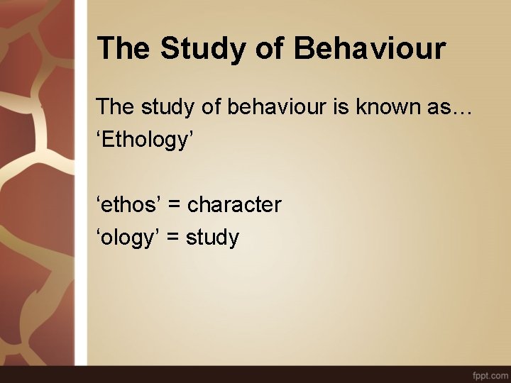 The Study of Behaviour The study of behaviour is known as… ‘Ethology’ ‘ethos’ =