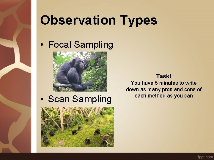 Observation Types • Focal Sampling Task! • Scan Sampling You have 5 minutes to
