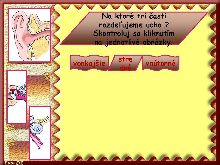 Na ktoré tri časti rozdeľujeme ucho ? Skontroluj sa kliknutím na jednotlivé obrázky. vonkajšie
