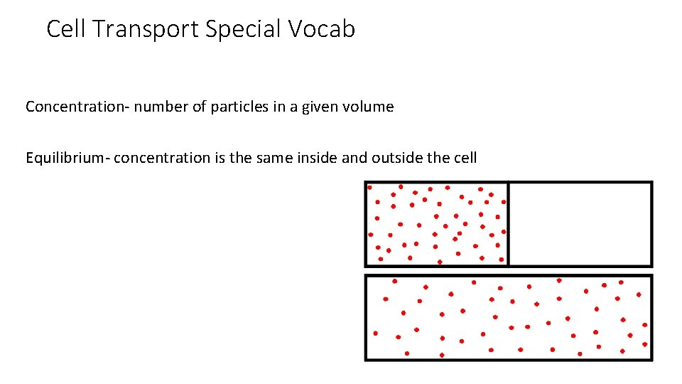 Cell Transport Special Vocab Concentration- number of particles in a given volume Equilibrium- concentration