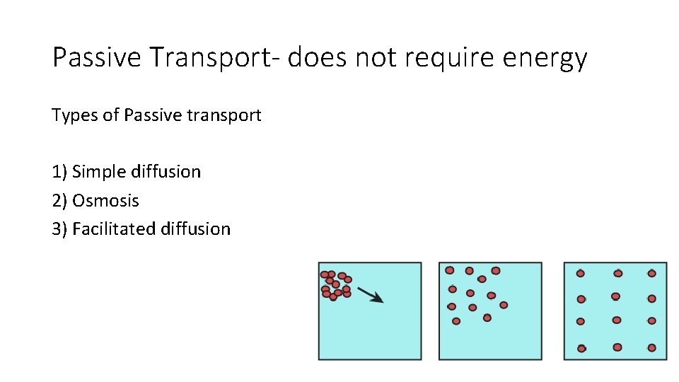 Passive Transport- does not require energy Types of Passive transport 1) Simple diffusion 2)