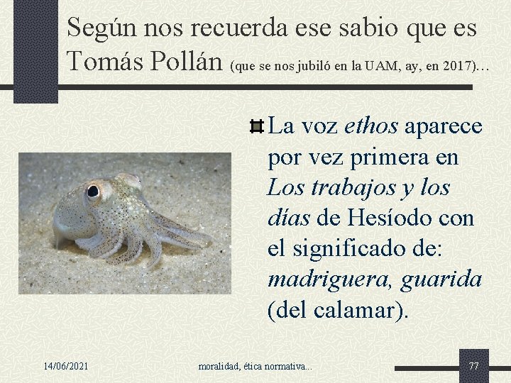 Según nos recuerda ese sabio que es Tomás Pollán (que se nos jubiló en