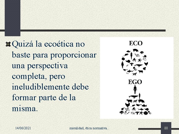 Quizá la ecoética no baste para proporcionar una perspectiva completa, pero ineludiblemente debe formar