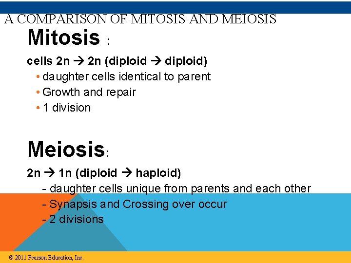 A COMPARISON OF MITOSIS AND MEIOSIS Mitosis : cells 2 n (diploid diploid) •