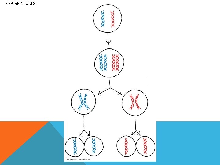 FIGURE 13. UN 03 