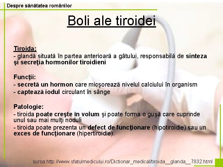 Despre sănătatea românilor Boli ale tiroidei Tiroida: - glandă situată în partea anterioară a