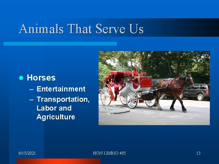 Animals That Serve Us l Horses – Entertainment – Transportation, Labor and Agriculture 6/15/2021