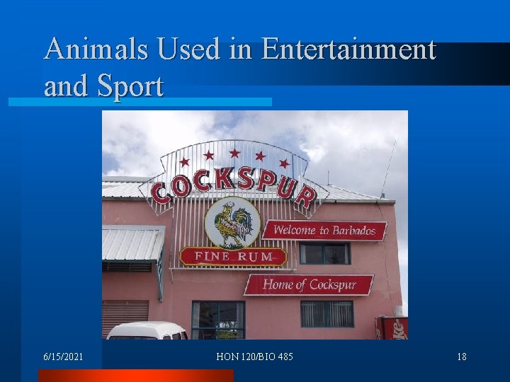 Animals Used in Entertainment and Sport 6/15/2021 HON 120/BIO 485 18 