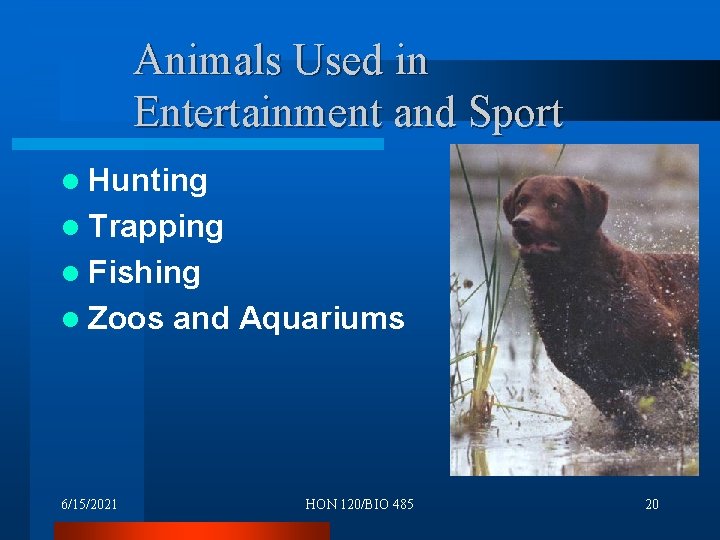 Animals Used in Entertainment and Sport l Hunting l Trapping l Fishing l Zoos