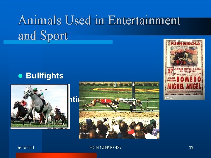 Animals Used in Entertainment and Sport Bullfights l Racing l Animal Fighting l 6/15/2021