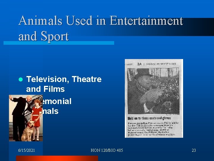 Animals Used in Entertainment and Sport Television, Theatre and Films l Ceremonial Animals l