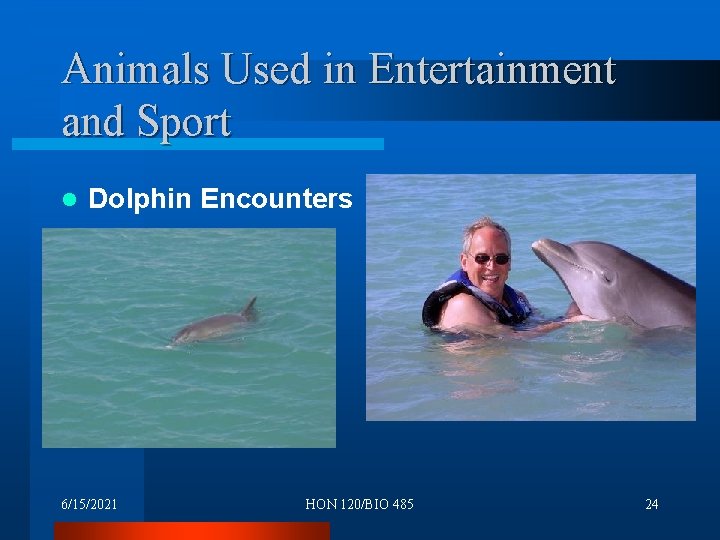 Animals Used in Entertainment and Sport l Dolphin Encounters 6/15/2021 HON 120/BIO 485 24