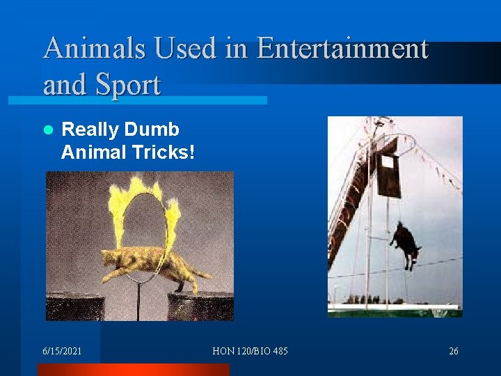 Animals Used in Entertainment and Sport l Really Dumb Animal Tricks! 6/15/2021 HON 120/BIO