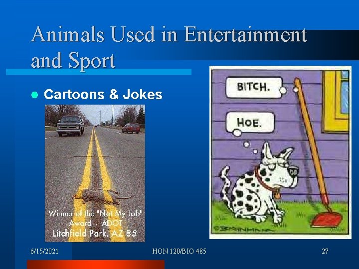 Animals Used in Entertainment and Sport l Cartoons & Jokes 6/15/2021 HON 120/BIO 485