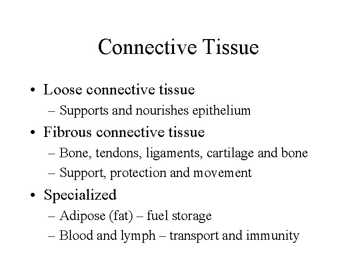 Connective Tissue • Loose connective tissue – Supports and nourishes epithelium • Fibrous connective Connective Tissue • Loose connective tissue – Supports and nourishes epithelium • Fibrous connective