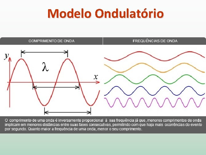 Modelo Ondulatório 