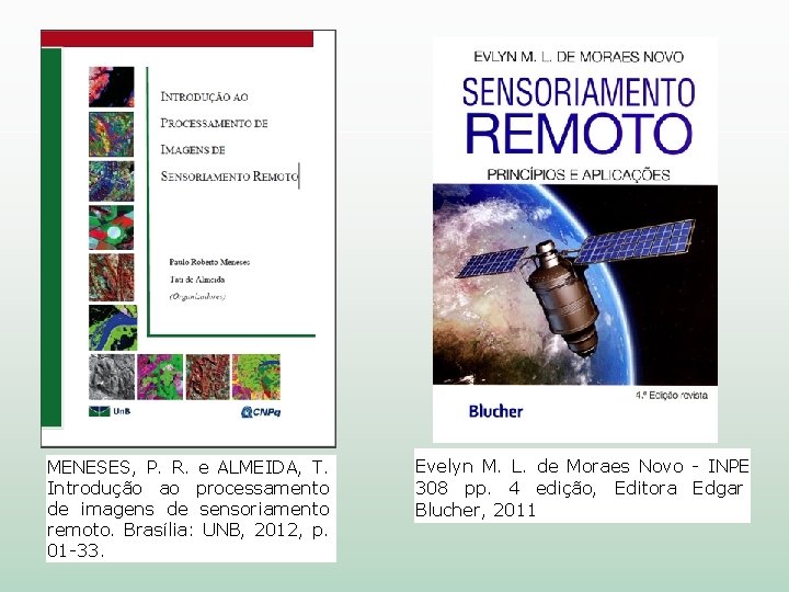MENESES, P. R. e ALMEIDA, T. Introdução ao processamento de imagens de sensoriamento remoto.