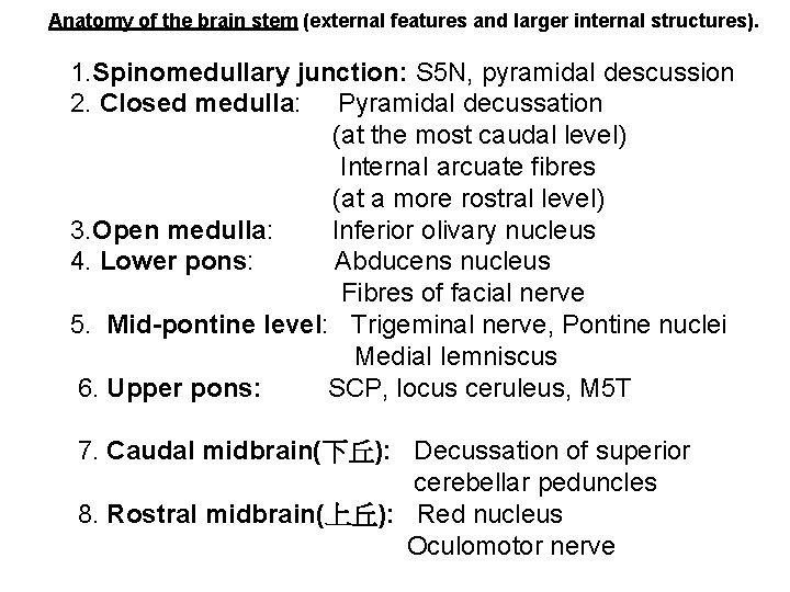 Anatomy of the brain stem (external features and larger internal structures). 1. Spinomedullary junction:
