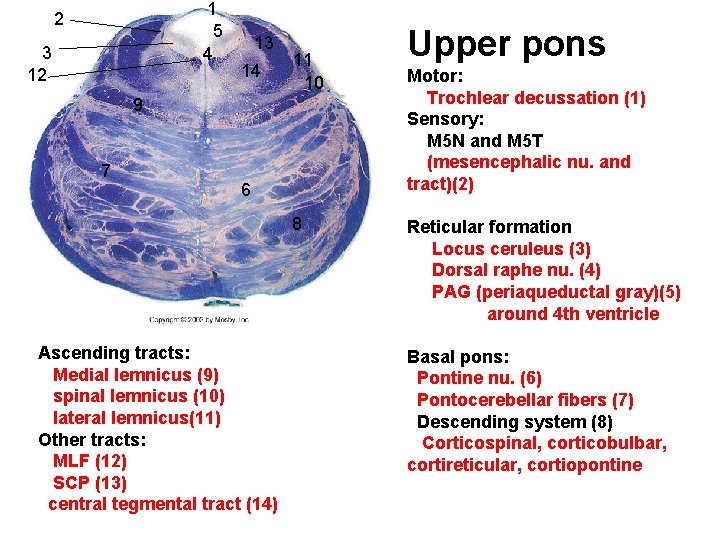 1 5 4 2 3 12 13 14 11 10 9 7 6 8