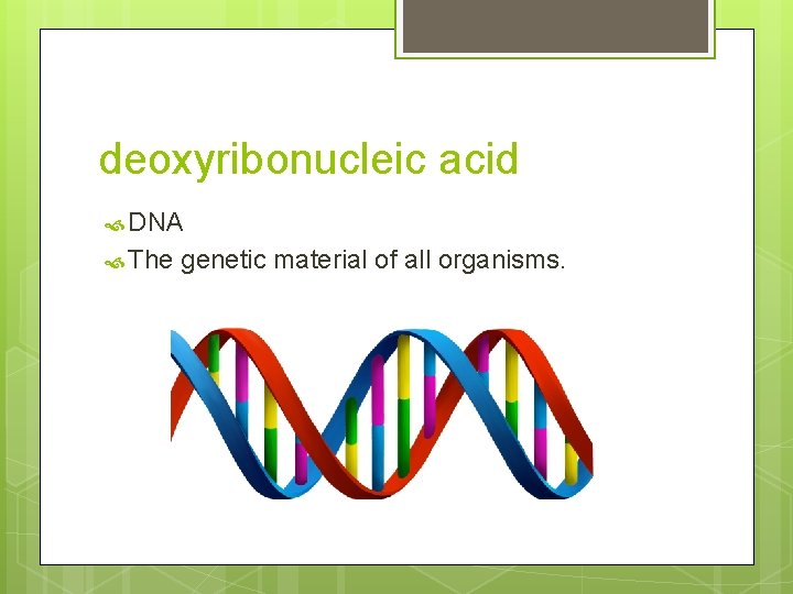 deoxyribonucleic acid DNA The genetic material of all organisms. 