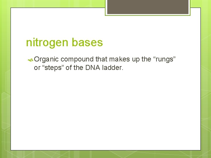nitrogen bases Organic compound that makes up the “rungs” or “steps” of the DNA