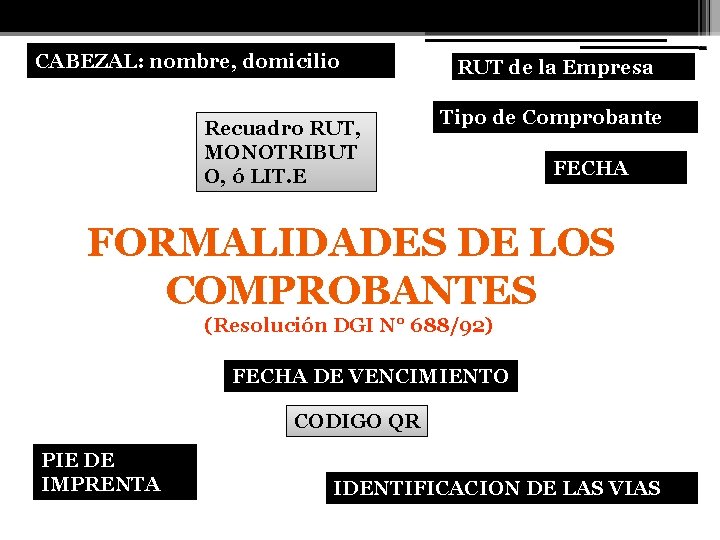 CABEZAL: nombre, domicilio Recuadro RUT, MONOTRIBUT O, ó LIT. E RUT de la Empresa