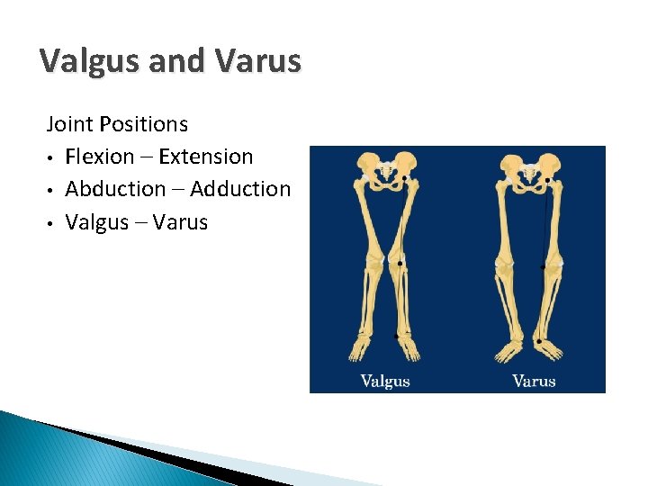 Valgus and Varus Joint Positions • Flexion – Extension • Abduction – Adduction •