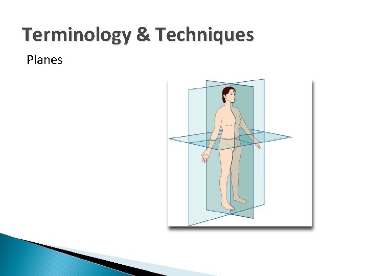 Terminology & Techniques Planes 