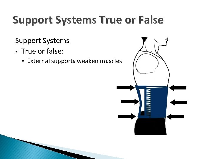Support Systems True or False Support Systems • True or false: • External supports