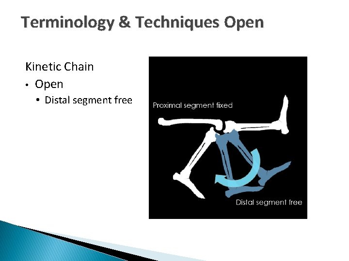 Terminology & Techniques Open Kinetic Chain • Open • Distal segment free 